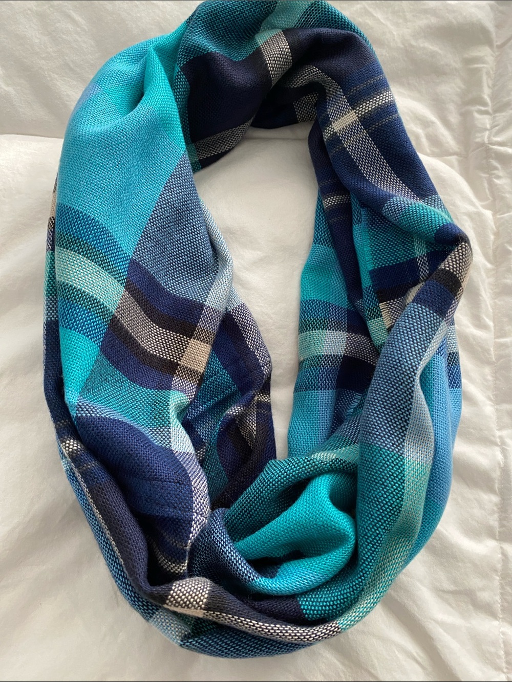 V. FRAAS Cashmink Blue Plaid Infinity Scarf